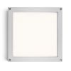 Kép SCOTT mennyezeti lámpa ezüstszürke 230V LED 9.8W IP54 3000K