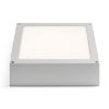 Kép SCOTT mennyezeti lámpa ezüstszürke 230V LED 9.8W IP54 3000K