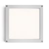 Kép SCOTT mennyezeti lámpa ezüstszürke 230V LED 9.8W IP54 3000K