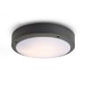 Kép SONNY mennyezeti lámpa antracit  230V LED E27 2x15W IP54