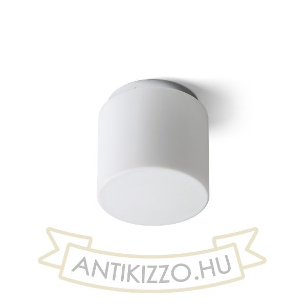 ARANA R 17 mennyezeti lámpa opál üveg/króm 230V E27 15W IP44